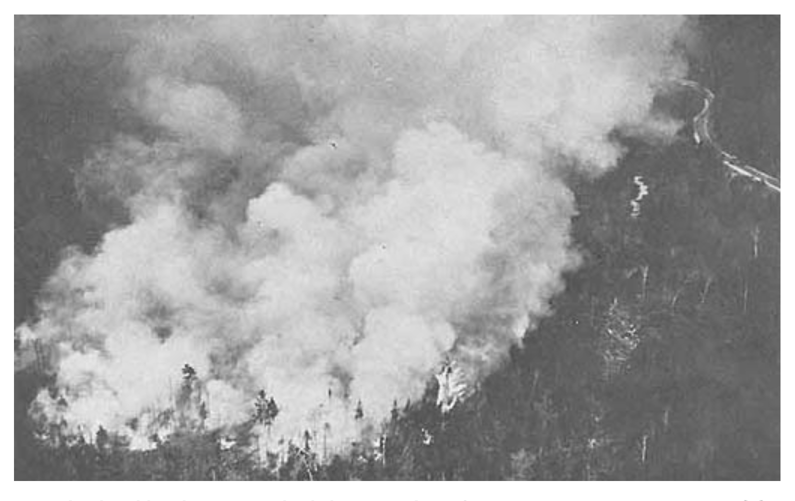 1941 fire