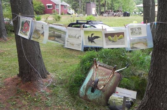 Bucky White - Art in the Woods 2016 - Susan and Bob Rock's