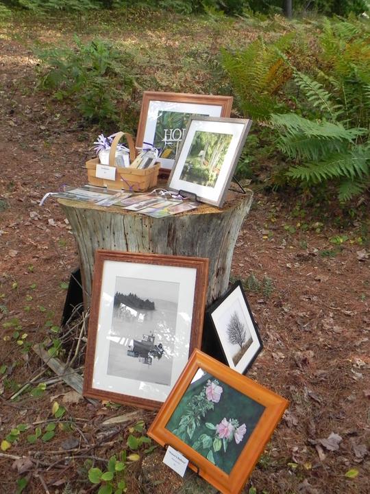 Fava Family paintings - Art in the Woods 2016 - Susan and Bob Rock's