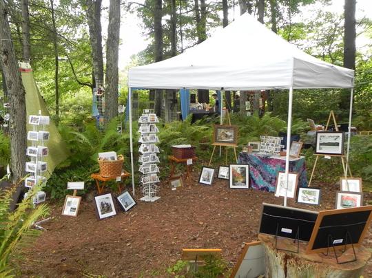 Stephanie Tickner paintings - Art in the Woods 2016 - Susan and Bob Rock's